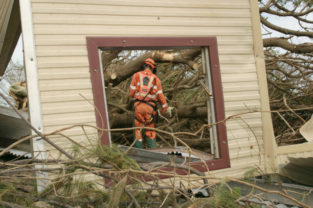 Best Tree Mulching  in Preston, TX